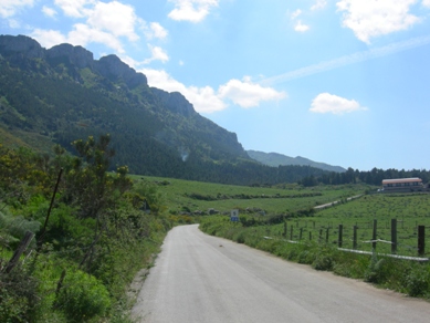 Poggio S. Francesco. Verso Altofonte