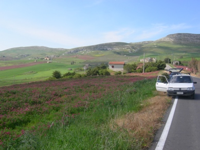 Raccolta del fieno